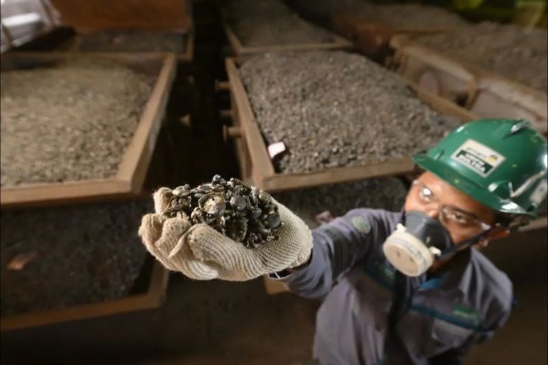 Kemenko Hilirisasi dibentuk, akademisi yakin bisa percepat transformasi kekayaan mineral Indonesia